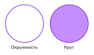 длина окружности и площадь круга