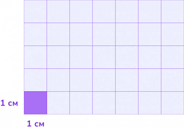 Площадь фигуры: что это такое и как найти — Блог Тетрики