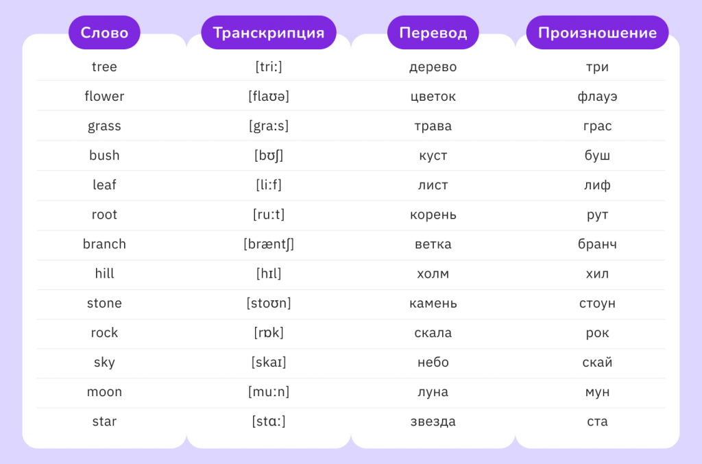 популярные слова