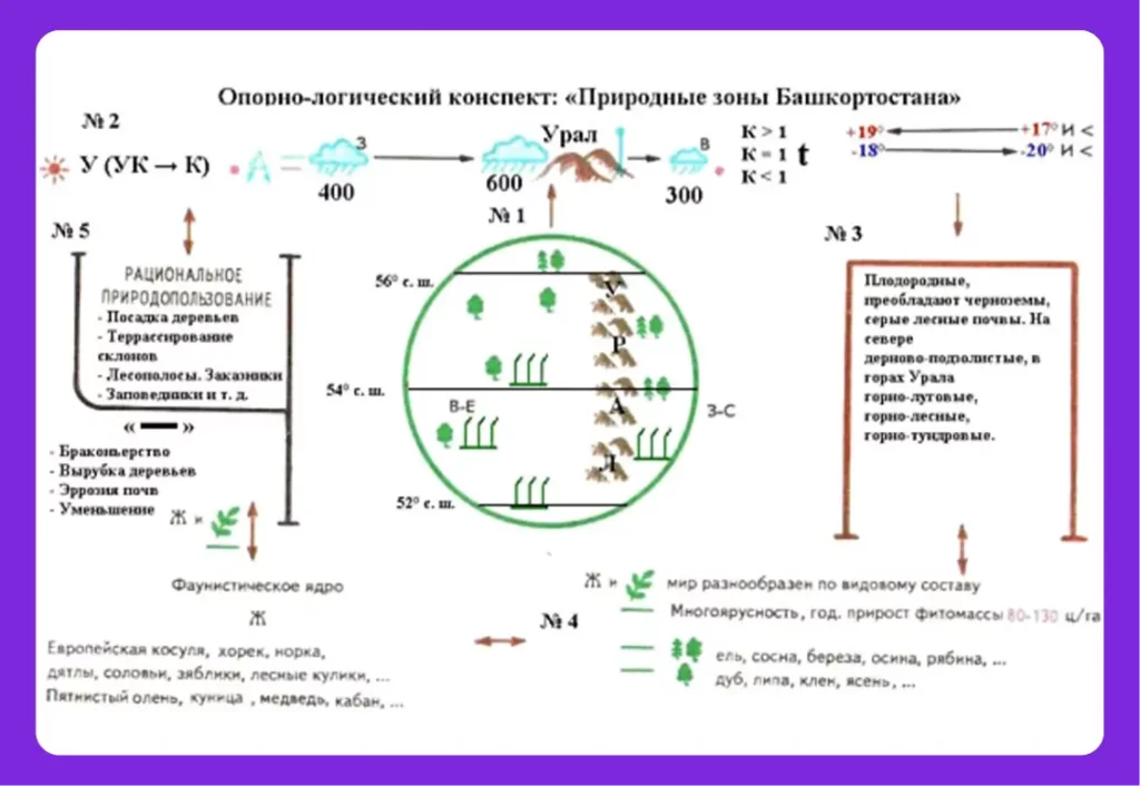 сделать конспект