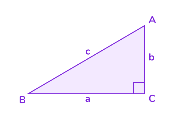 Прямоугольный треугольник