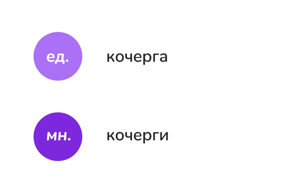 как будет во множественном числе