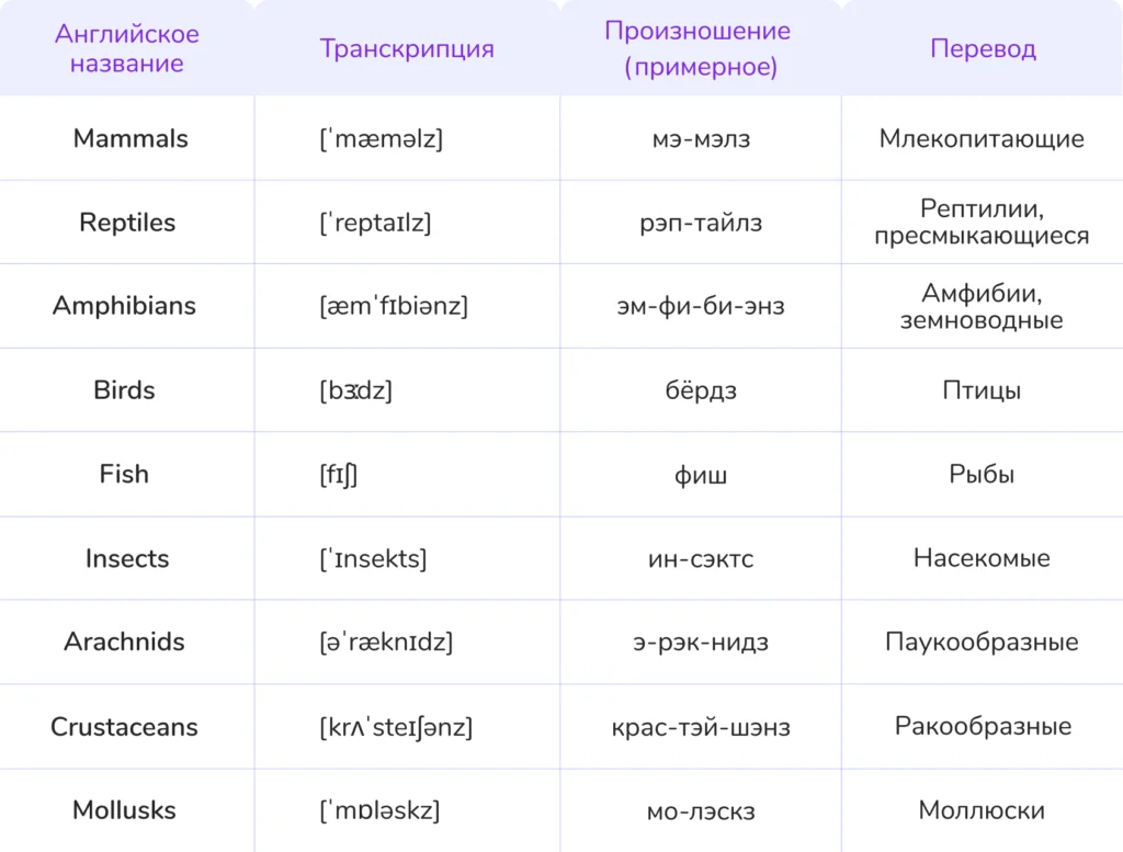 животные на английском