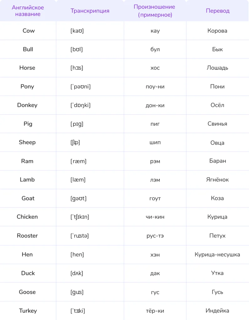 животные на английском