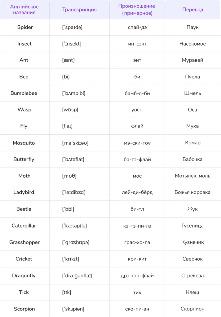 животные на английском