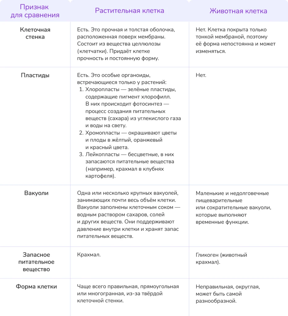 что такое клетка строение клетки
